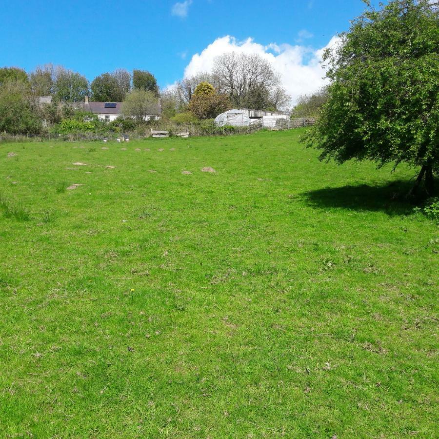 Gernos Farmhouse Llandysul 외부 사진